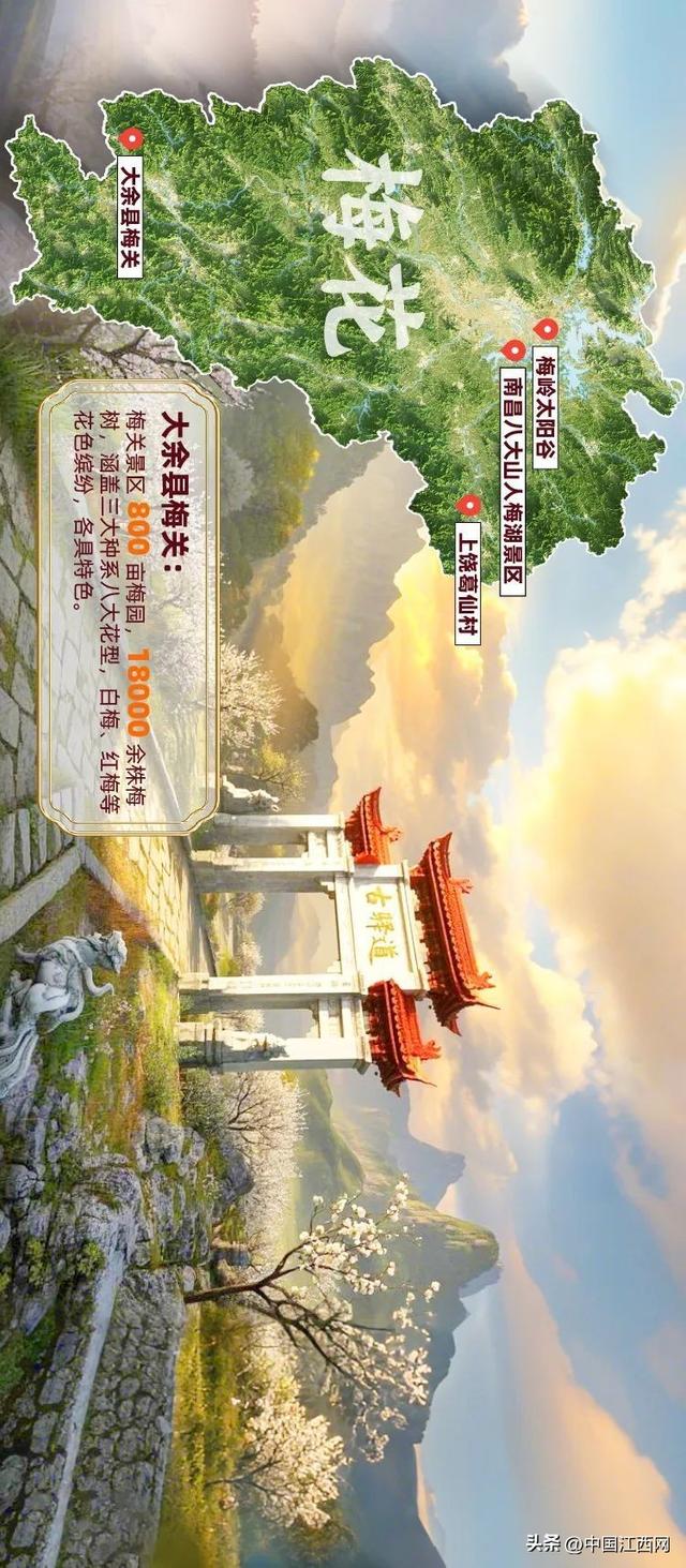 探春花丨江西春日赏花地图正式发布！