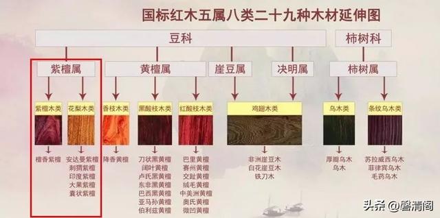 什么是花梨？花梨木的概念及木种简介