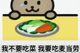 胖猫事件竟有人吃“人血馒头”，辜负真心的人要吞一万根银针！图片