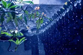 古诗词里的雨声有多好听？杜甫听了一整夜，蒋捷直接听了一生图片