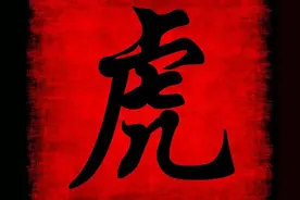 生肖虎和哪些属相，比较适合做夫妻？一生恩爱，白头到老！图片