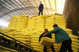 一文看懂！20家上市化肥企业背景、优劣势全剖析图片