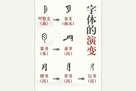 汉字——“月”字傍浅谈图片