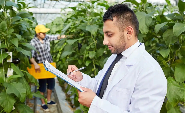 中国再出黑马！科学家成功破解植物再生密码，1大关键因素出炉