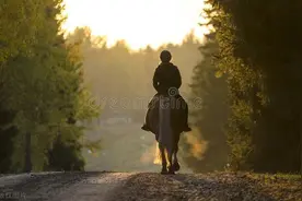 短篇小说：寻爱图片