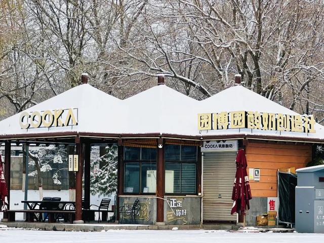 收好这份石家庄“雪景打卡地图”！走起→