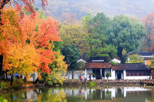 山雾里的红枫与悬亭