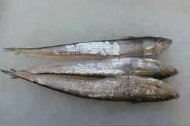 我国十大最贵淡水鱼，有你知道的吗？图片