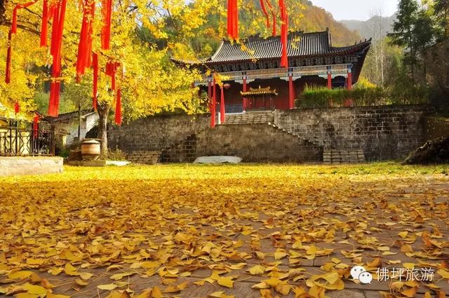 赏秋正当时！自驾来汉中，赴一场秋日视觉盛宴~