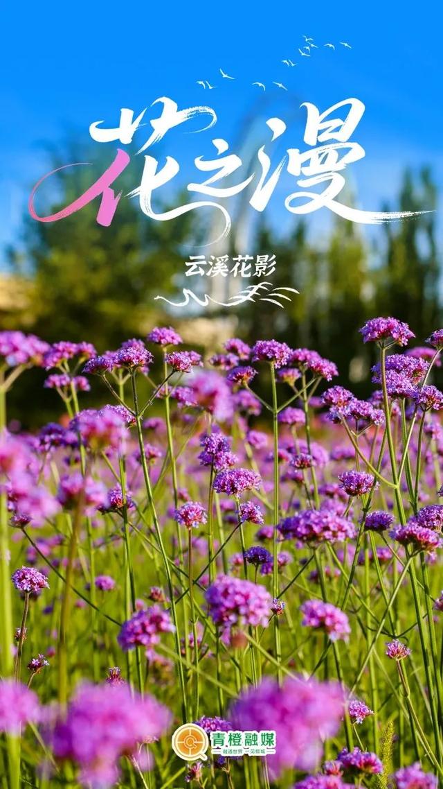 穿越北纬40度，看见“不一样”的呼和浩特！