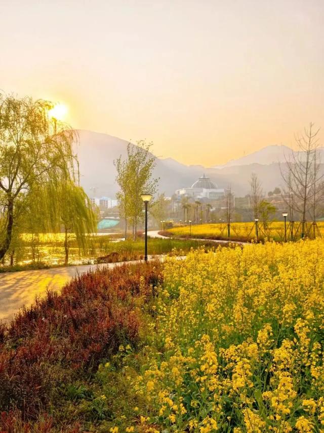 【九湖乐走&九湖亲子乐走招募】2026九湖联赛·阳宗海站系列活动→环湖畅走，全家皆宜！