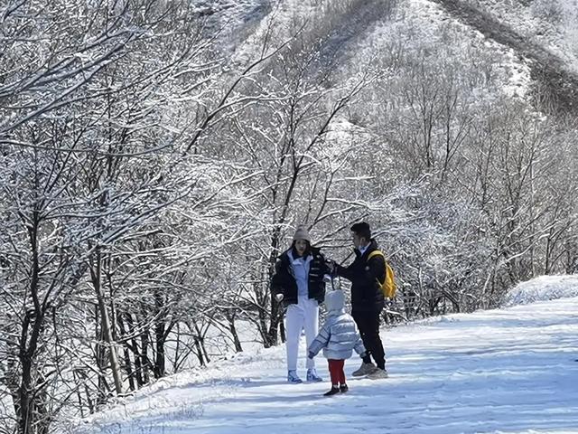 12.12雪落玉渡山！一山两景藏着冬日限定浪漫