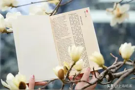 高校校园“春季皮肤”上线！太美了！附入校预约指南→图片