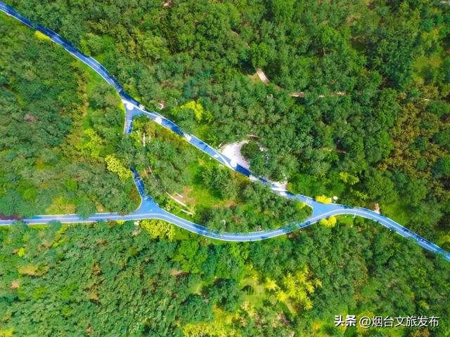 【乐游烟台】沿海穿林登山，在烟台黄渤海新区收集三种风景！