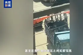 缅北电诈更多犯罪细节曝光→图片