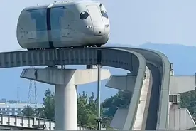 重庆璧山县的云巴太萌了，当地人叫重庆猪儿虫，深圳也有这种云巴图片