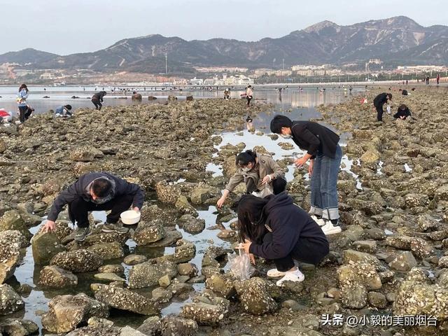 事关每一个烟台人!近期已开启全面整治!
