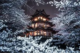 星期算术的公式(不翻日历你能算出随便哪一天是星期几吗？)图片