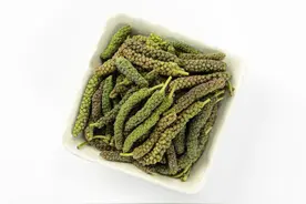 河南一女子尝鲜构树穗险丧命？医生告诫：这2类人群，千万别乱吃图片