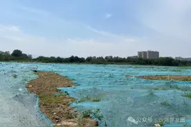 涉及商业、公园…沙河高教园区四期项目进展如何？图片