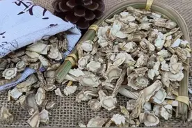 分享一些治疗咳嗽有痰有效的中草药，收藏图片