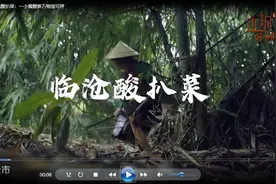 边城好味：临沧酸扒菜：一小撮酸笋万物皆可烀图片