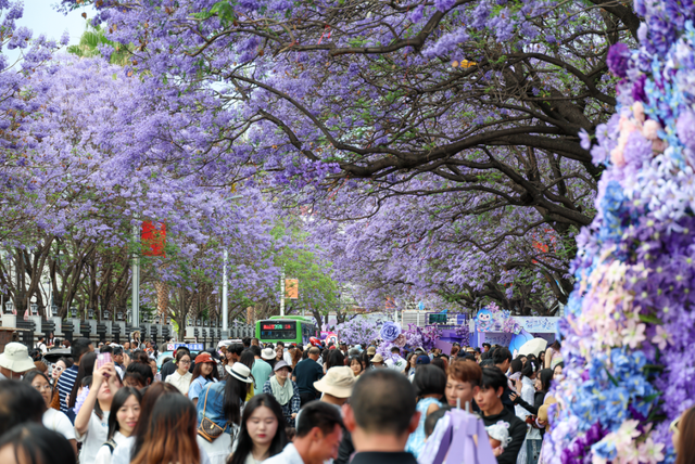 全城“追花”！航天北路开启“人从众”模式