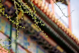 《吕氏春秋》：八个要诀，看清天下人图片