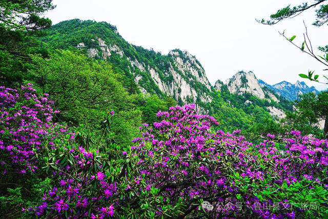 “五一”赴鲁山｜山水藏诗意 度假正当时