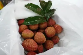 大跳水，暴跌40%！一天一个价，估计还要跌图片