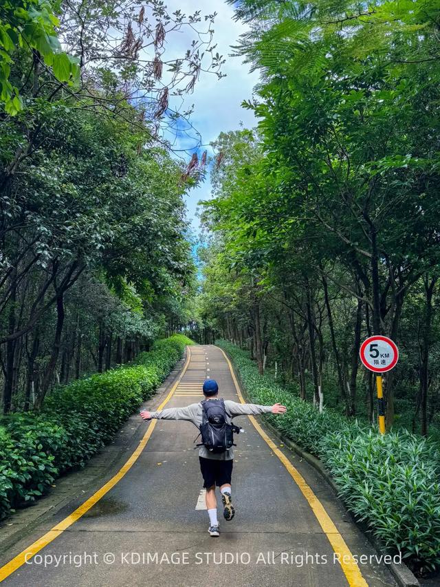 深圳徒步!超适合新手小白的3条郊野径路线,地铁公交直达还免费