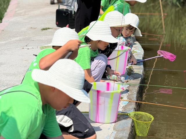 叙州区：两百名青少年田间研学 共享农耕文化盛宴