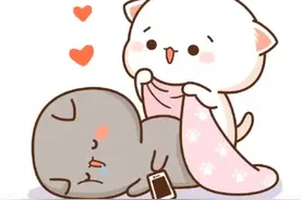 蜜桃猫表情包图片