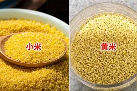 超市里的小米和黄米可不一样！行家：区别可大了，看看你买错了没图片
