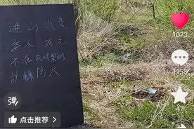 网友称进山挖野菜遇村民设卡收费每人10元 镇政府回应图片
