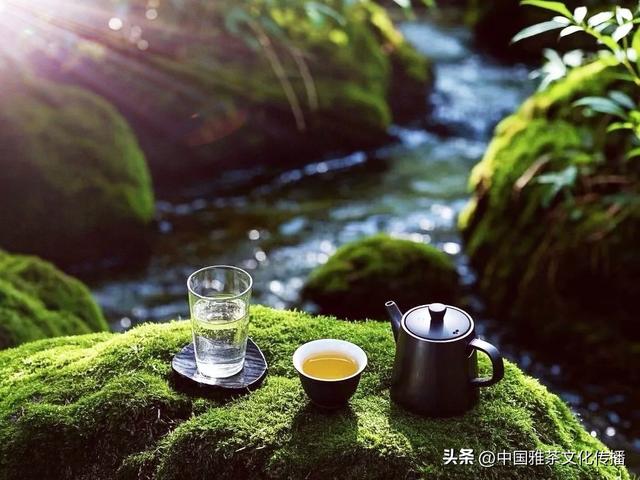 三江烟雨一壶茶