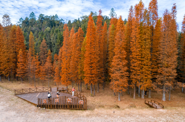 别卷作业了，卷卷大自然！韶关秋日研学，让娃成为朋友圈最酷的崽