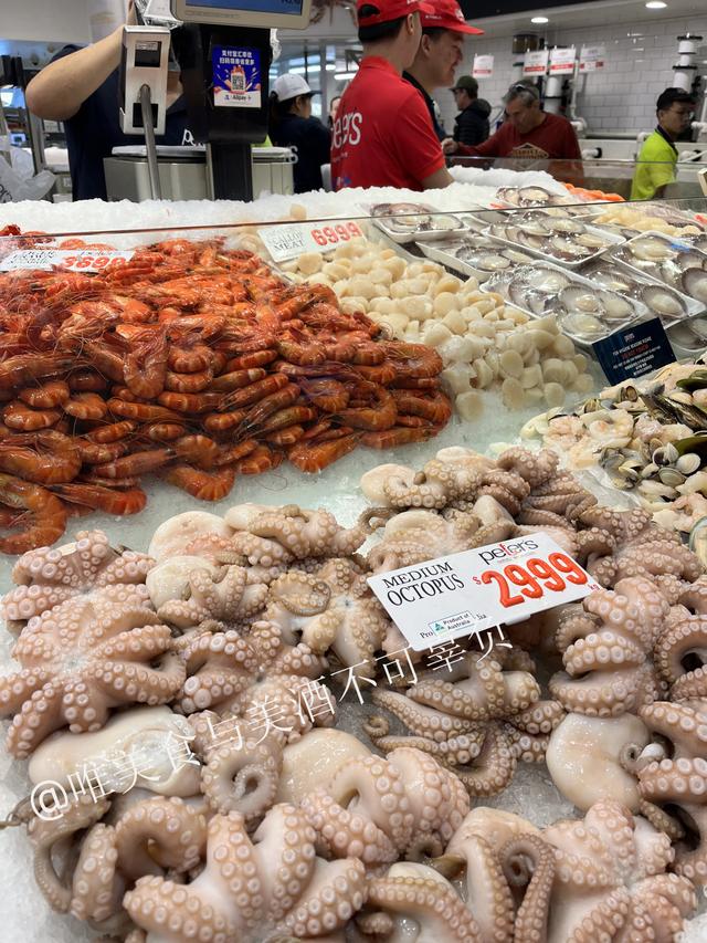 悉尼美食之旅：排名世界前十菜市场的悉尼鱼市场，一定要早来