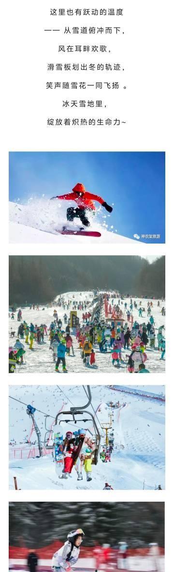 神农架冬日奇遇，雪花温泉共舞，速度静谧两重天