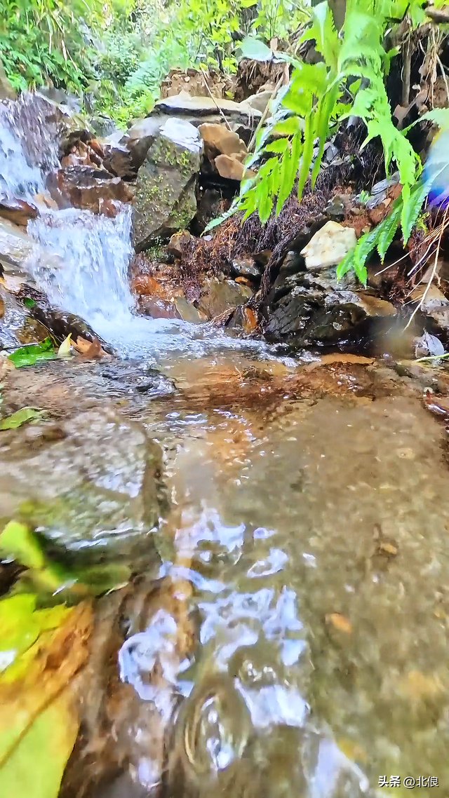 偶遇天平山上的小溪，测试结果竟然是优质山泉水