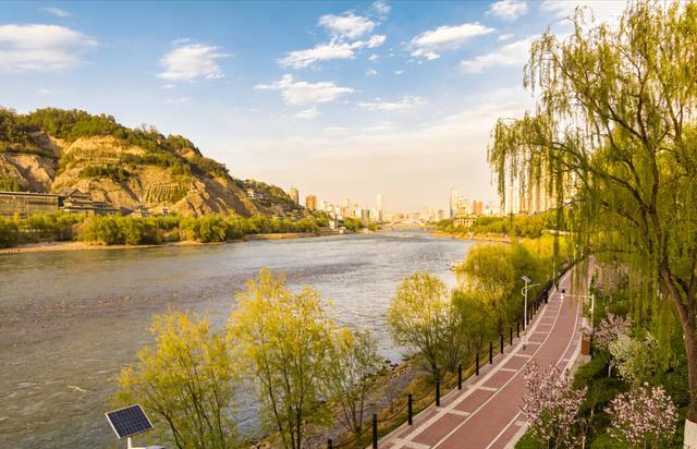 兰州读者大道火了！紫叶李开成粉色隧道，书香与花香撞个满怀