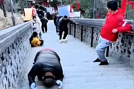 五台山踢狗后续：小狗获新生被收养皈依佛教，知情者曝踢狗者身份图片