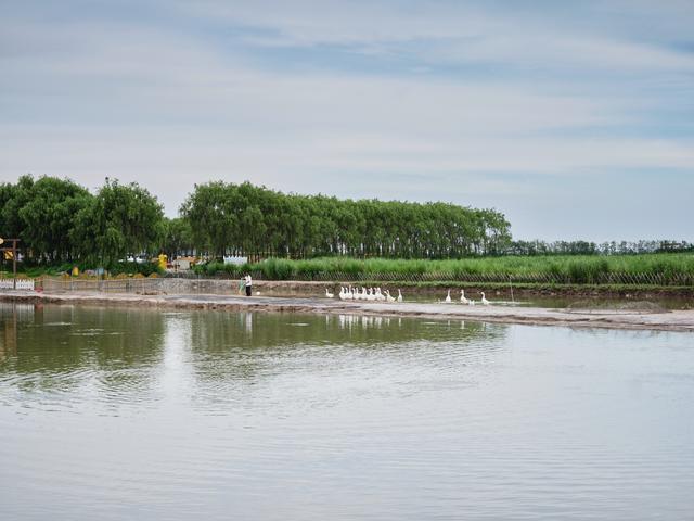 锦州东方华城湿地公园，环境优美，水鸟争鸣，是休闲散心的好去处