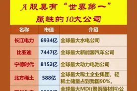 A股10大具有“世界第一”的实力龙头公司！图片