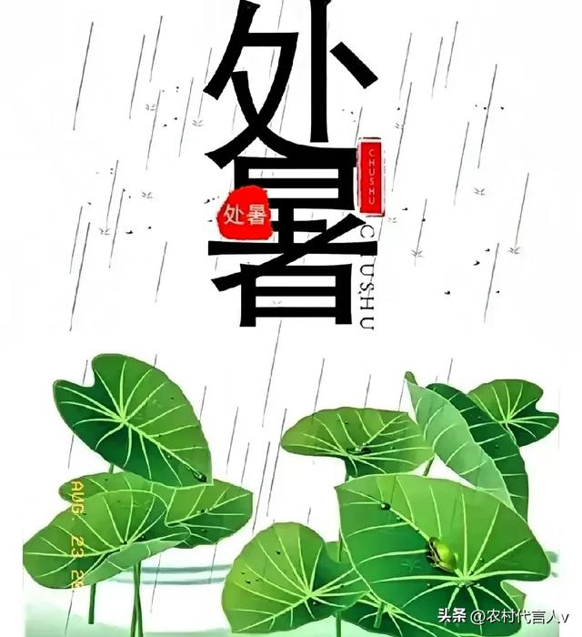 “冷不冷，就看处暑”，今日处暑，今年冬天有多冷？看农谚就知道