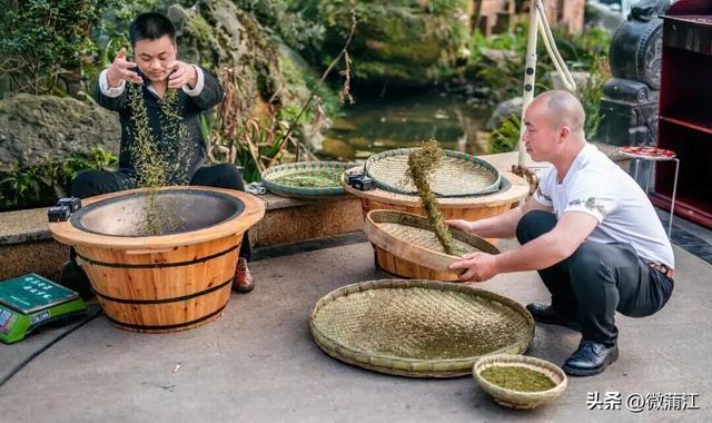 “骑”遇惊喜，快来成都蒲江“醉氧”绿道，开启你的追风之旅！