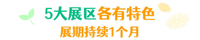 年度金秋盛宴来了，武汉城建集团邀您逛菊展、赏名菊、拍美照！