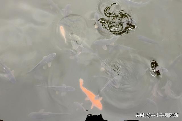 99%陕西人没听过的秦岭小山，海拔只有太白山1/4，却被写入史书！