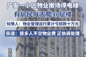 物业撤场停电梯，30楼居民爬到想哭，知情人：大部分业主不交物业费，物业累计亏损数十万图片