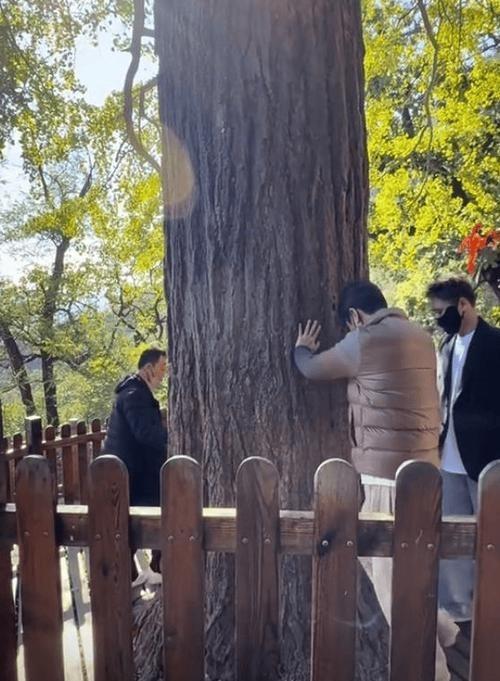 她走后，剧才开播：朱媛媛最后的角色看哭全网